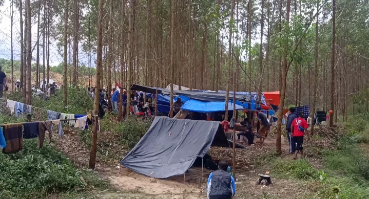 Kelompok Tani Terusan Bersatu Mendirikan Tenda di Lahan